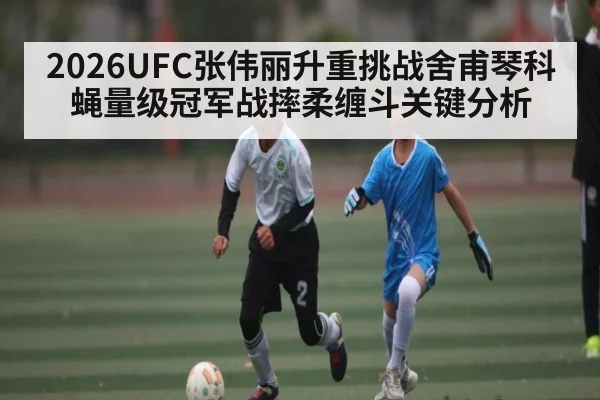 2026UFC张伟丽升重挑战舍甫琴科蝇量级冠军战摔柔缠斗关键分析 - c7c7.app