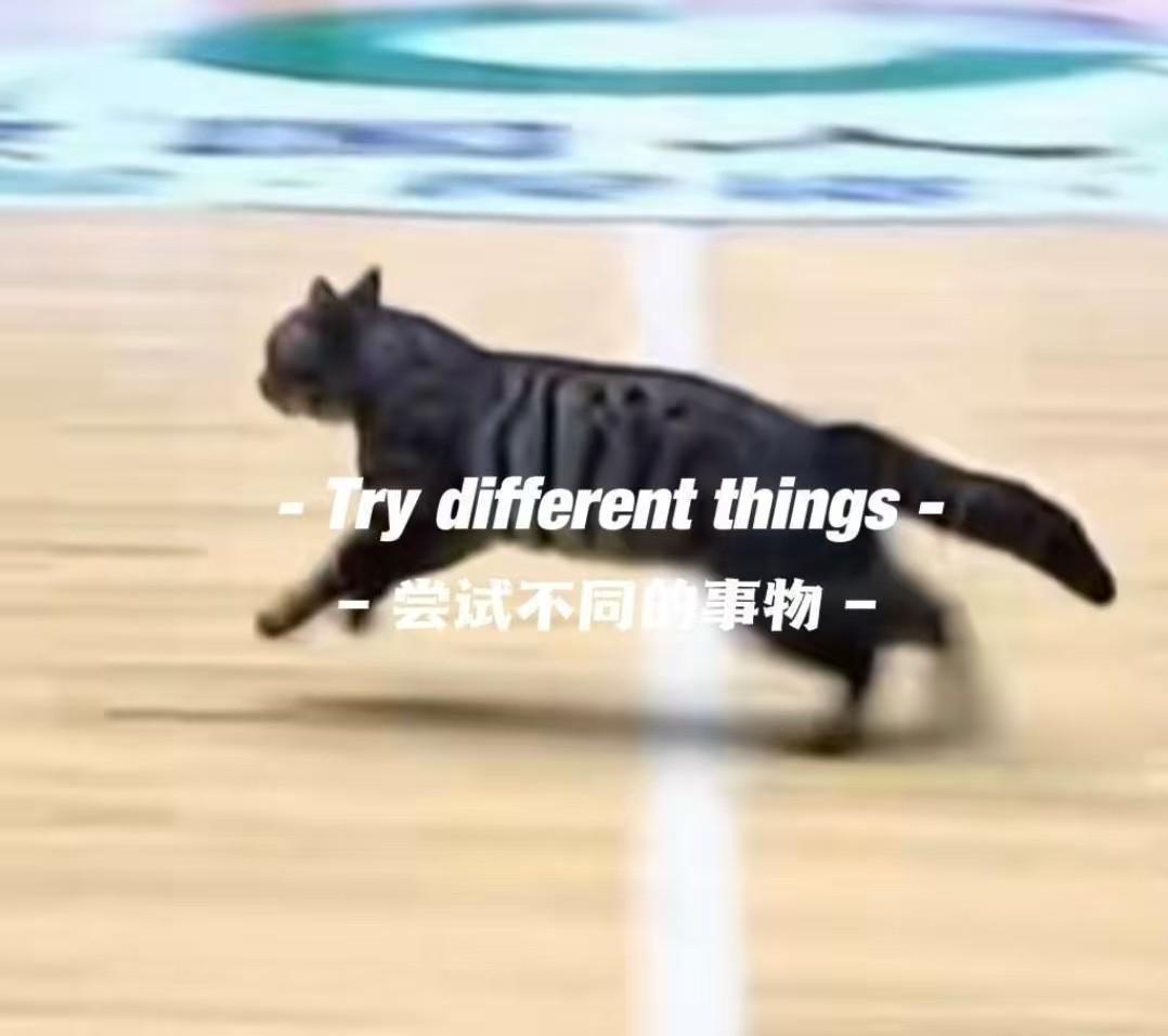 2026世界杯投注app下载-猫猫也想打球，广东四川CBA比赛中场地内跑进一只小猫